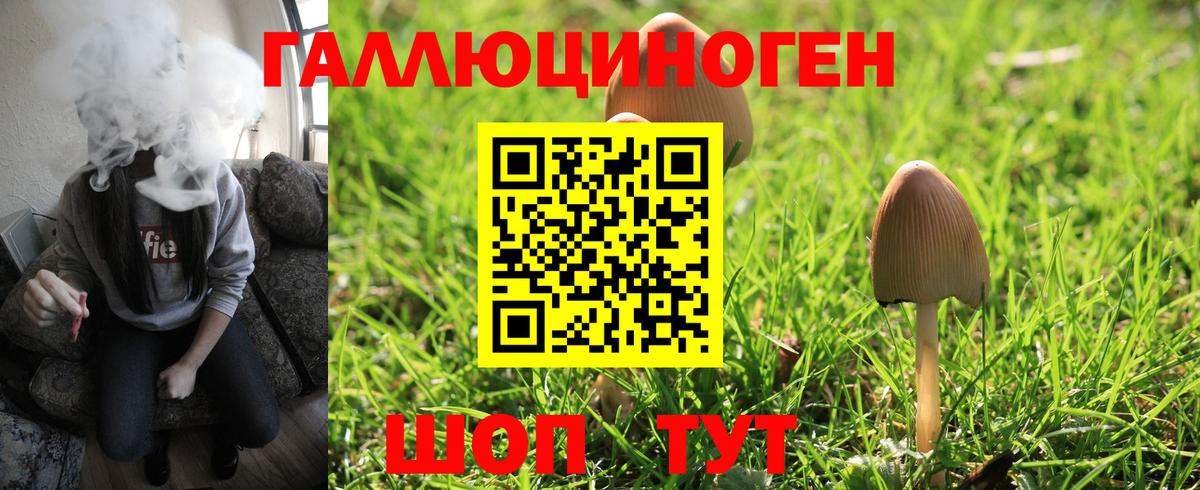Псилоцибиновые грибы мухоморы Грозный