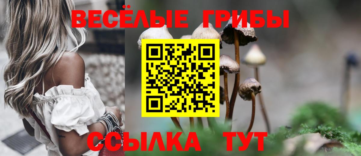 наркотики  Галлюциногенные грибы мухоморы  Вход с VPN  Грозный 